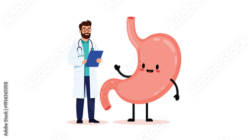 Male doctor in a white lab coat stands next to a happy smiling stomach organ character to represent digestive health and professional medical care services.