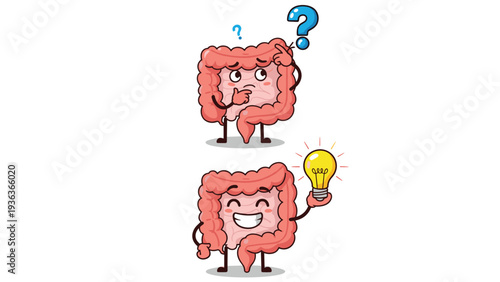 Two cute human intestine cartoon characters illustrating a thinking process and a successful creative idea concept.