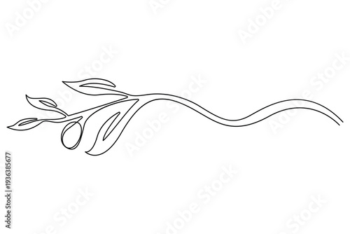 Olive branch continuous one line drawing minimalist botanical vector illustration
