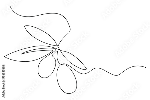 Olive branch continuous one line drawing minimalist botanical vector illustration
