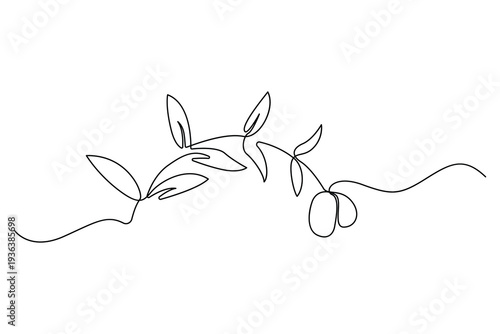 Olive branch continuous one line drawing minimalist botanical vector illustration
