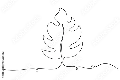 Monstera leaf continuous line drawing minimalist botanical vector illustration
