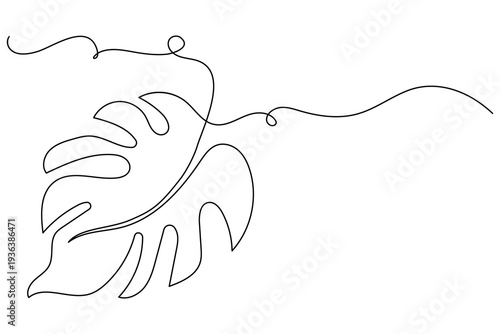 Monstera leaf continuous line drawing minimalist botanical vector illustration
