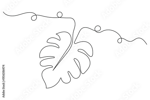 Monstera leaf continuous line drawing minimalist botanical vector illustration
