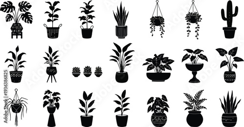 Various potted houseplants are artistically displayed in a grid formation including monstera fig cactus and succulents.