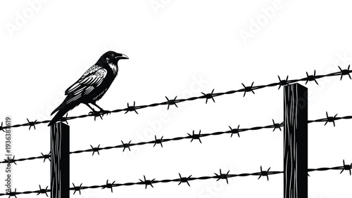 Black and white illustration of a solitary crow perched on a barbed wire fence against a stark white background.