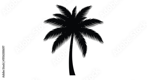 A striking black silhouette of a tropical palm tree with detailed fronds and trunk silhouette high quality professional