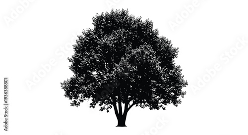 A stark detailed black silhouette of a mature full tree against a plain white background silhouette high quality