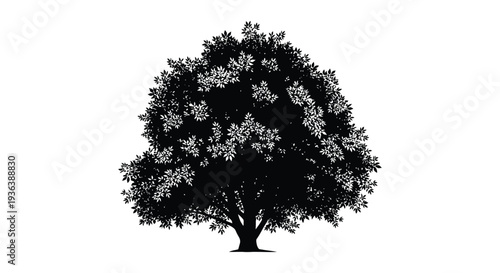 A detailed black silhouette of a lush full tree with intricate foliage against a white background silhouette