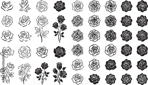 Blooming Styles – Rose Illustration Collection