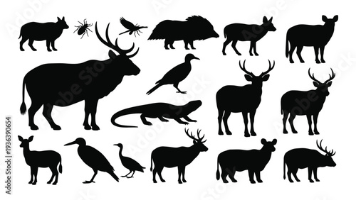 A collection of animal silhouettes on a white background