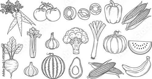 Hand-Drawn Vector Set of Fresh Vegetables and Fruits – Carrot, Tomato, Corn, Avocado, and More
