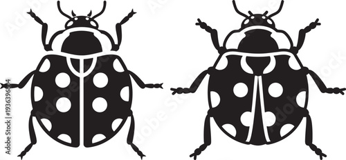 Black and white graphic illustration of two ladybugs, viewed from above. Cute insect vector icons representing good luck, nature, and summer.