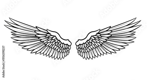 An illustration of large feathered wings spread wide in flight