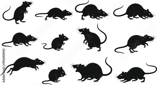 Collection of twelve rat silhouettes in various poses, standing, walking, crouching, showcasing rodent behavior, whiskers, tails, and ears.