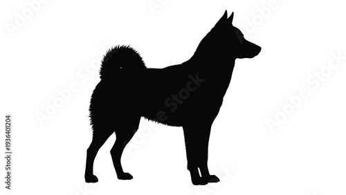 A black silhouette of a dog standing on a white background