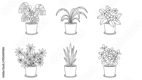 Collection of six potted plants with various leaf shapes and sizes, illustrated in a simple line drawing style for decorative purposes.