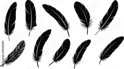 feather, feathers, bird feather, plume, quill, feather icon, feather set, silhouette, nature, wing, soft, decorative, boho, tribal, vintage, illustration, design, tattoo, vector, collection