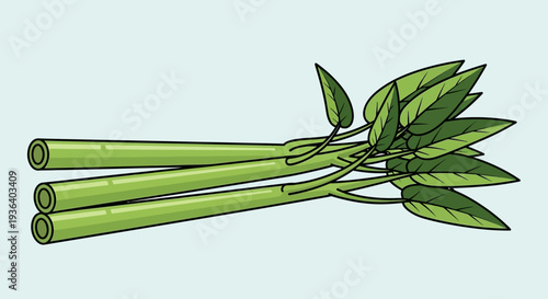 Fresh kangkong water spinach vegetable stems with leaves