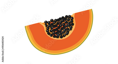 Fresh ripe papaya fruit slice with black seeds illustration