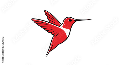 Vibrant red hummingbird in flight with outstretched wings and long beak clearly visible in detailed illustration