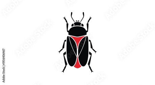 A black and red beetle with distinctive markings on its back