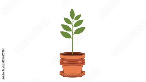 Simple green plant with several leaves growing in a traditional layered terracotta clay flower pot on a clean white surface.