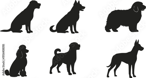 Set of black silhouettes of different dog breeds including poodle, shepherd, and retriever sitting and standing isolated on white background,