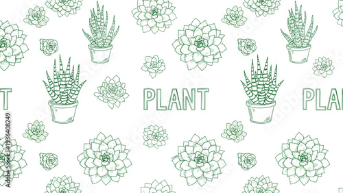 Seamless pattern of various green succulent and cactus plants in pots drawn in a sketch style on a clean white background.