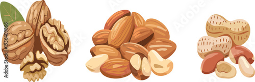 Hand drawn walnut, almond, and peanut vector collection with various healthy nut snack shapes for food design