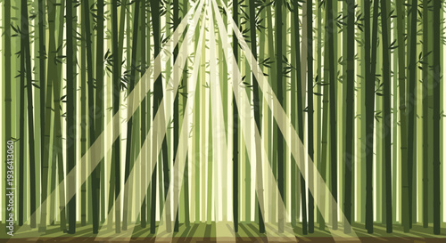 Sunlight Through Bamboo Forest