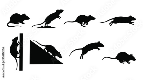 Black Rat Silhouette Set - Running Jumping and Climbing Rodent Poses