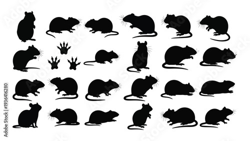 Collection of cat and mouse silhouettes in various poses