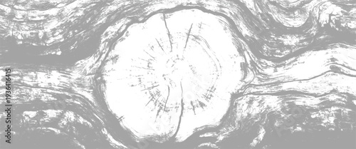 Closeup of tree trunk with visible growth rings and natural wood texture