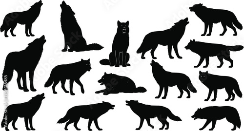 Wolf Silhouette Set Howling Walking Sitting Wild Canine Animal Black Shadow Wildlife Collection Vector Illustration