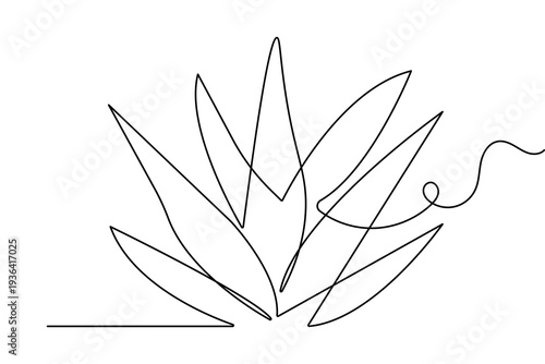 Spiky agave plant continuous one line drawing in minimalist style isolated on white background