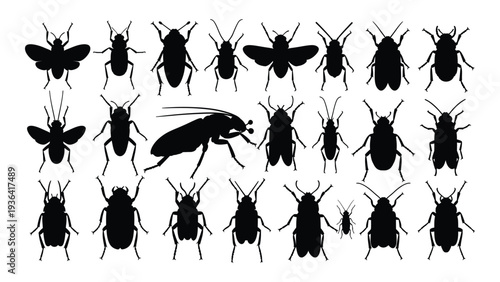 A collection of black silhouettes of various beetles