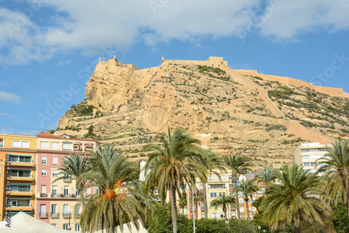 Пальмы, гора на фоне голубого неба. Прекрасный тропический городской пейзаж.