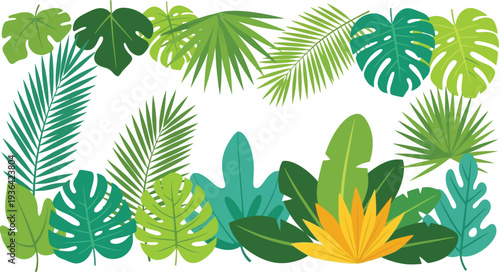 Diverse tropical leaves arranged in a botanical greenery border