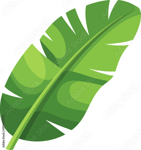 Green banana leaf displaying detailed botanical form