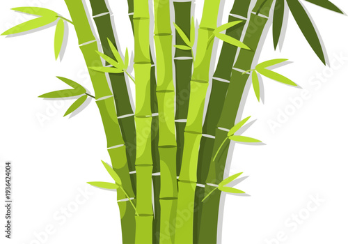 Green bamboo stalks with leaves in a dense thicket