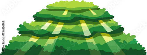 Manicured green hedges growing in sunny garden