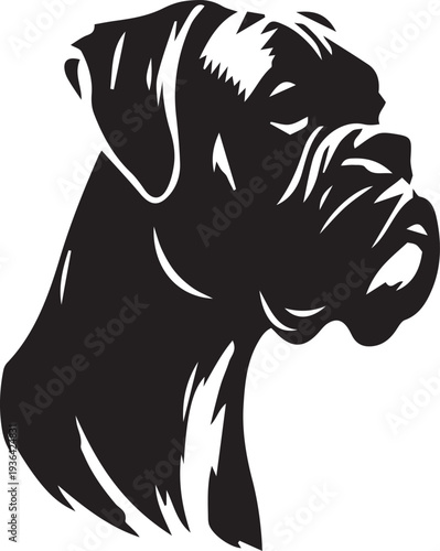 Black and white boxer dog 