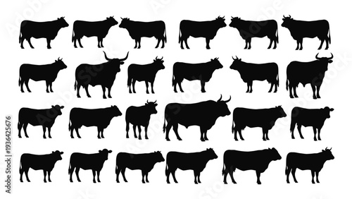 A group of cows standing in different positions
