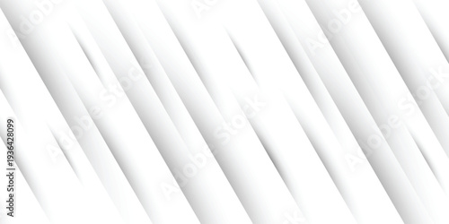 Modern Grey white background paper shine and layer element vector for presentation design. graphic illustration art