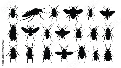 A collection of black silhouettes of various insects