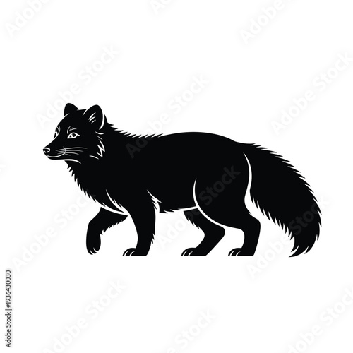 Black silhouette of a fox standing and looking forward detailed fur