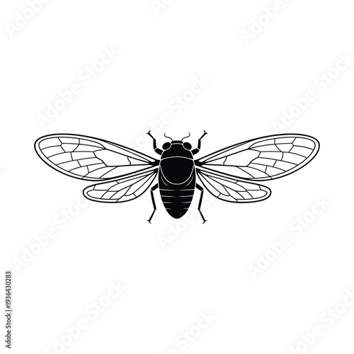 A detailed black silhouette of a cicada with outstretched wings
