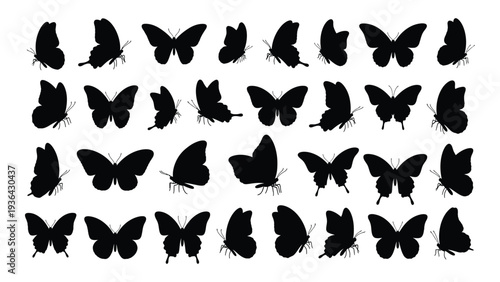 A collection of black butterfly silhouettes