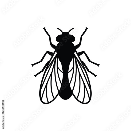 A black silhouette of a common fly wings spread against white